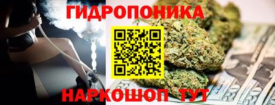 прущие грибы Шелехов