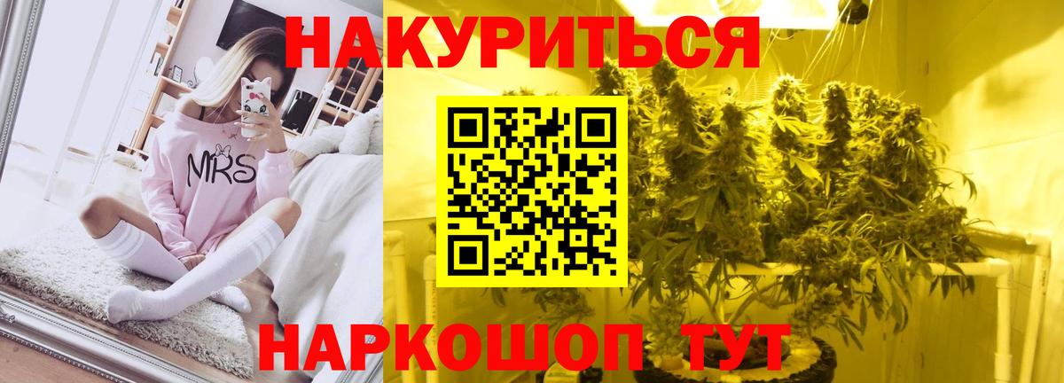 МАРИХУАНА сатива  Вход с VPN  Марихуана план  Бошки Шишки LSD WEED  Элиста 